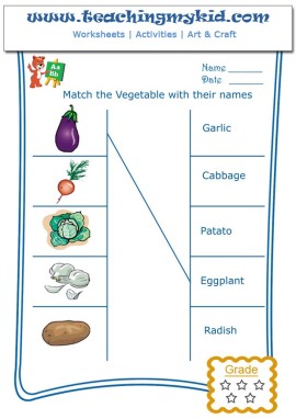 Worksheet for kindergarten