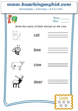 Worksheet for kids