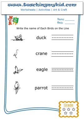 Preschool worksheets