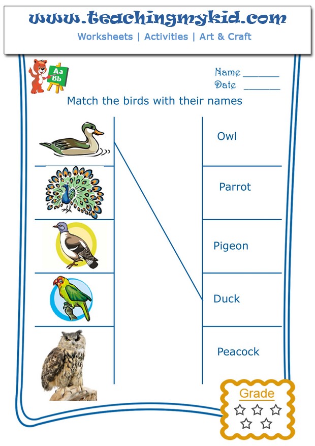 free-worksheets-match-the-birds-with-their-names-2
