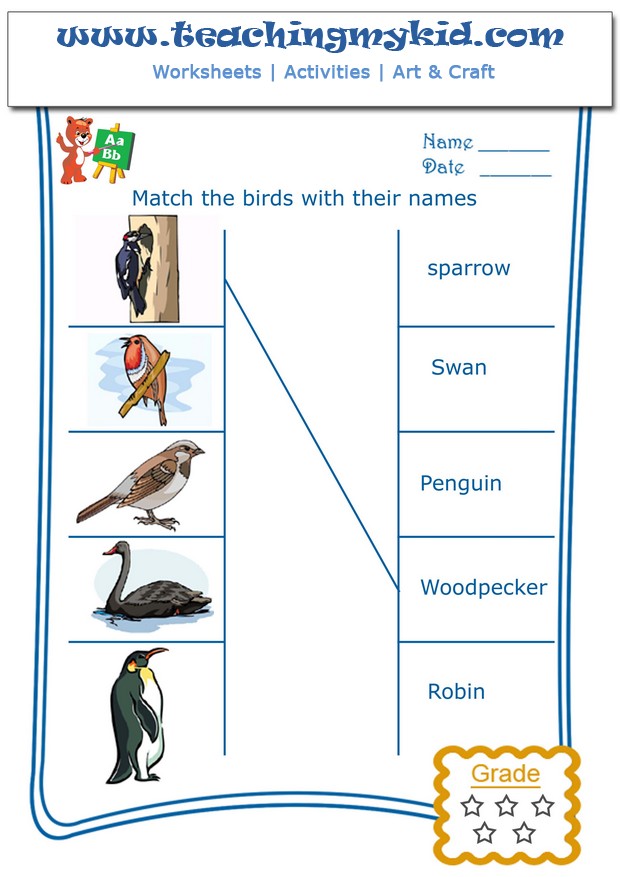 birds pictures and names for kids