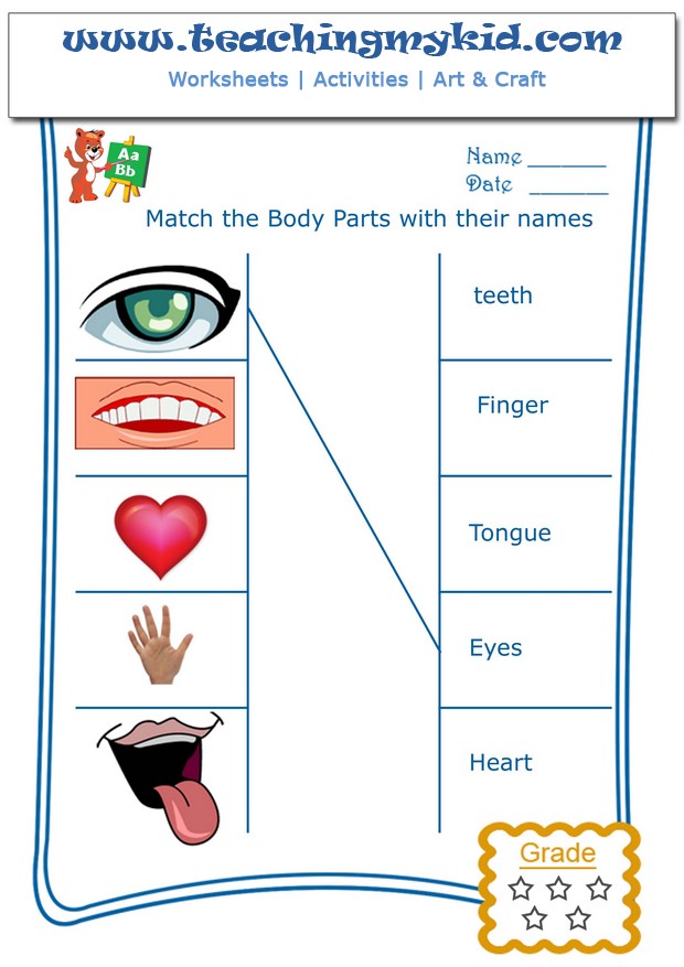 printable worksheets match the body parts with their names 1