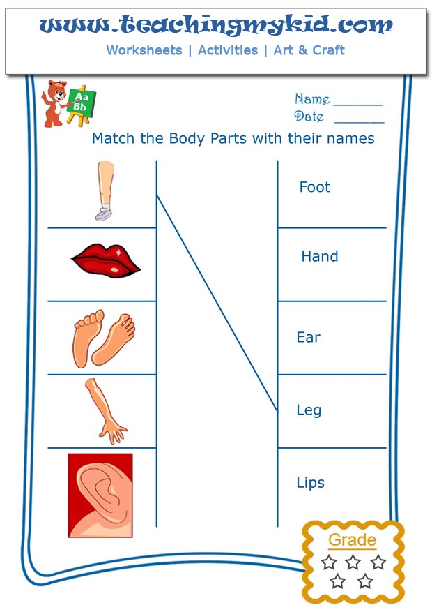 free worksheets match the body parts with their names 2