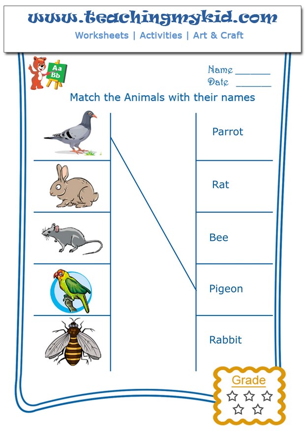 kindergarten learning - Match Domestic Animals with names - 2